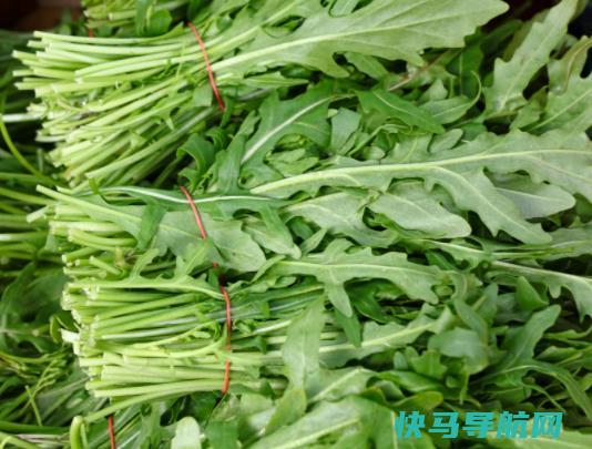 茼蒿什么时候吃最好？茼蒿吃多了会怎样？
