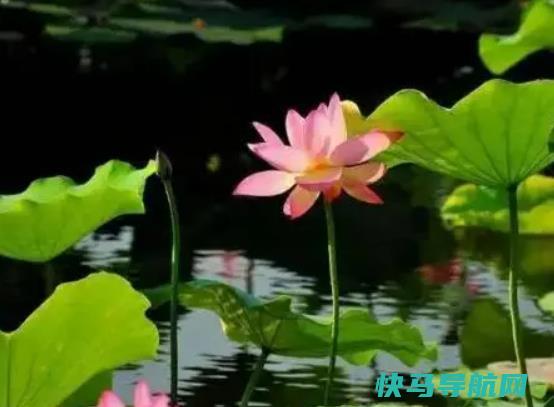 2023年7月份去哪里旅游凉快又舒服？2023年7月份出去旅游贵吗